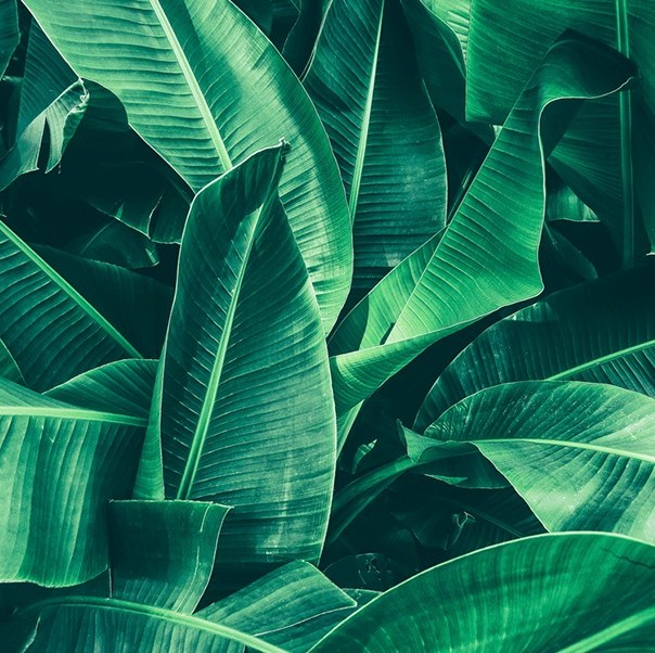 必维集团2025年第三季度业绩稳健，收入实现增长；全年财务展望重申