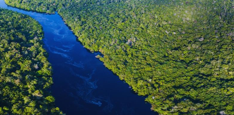 COP30现场报道：引领气候行动新阶段