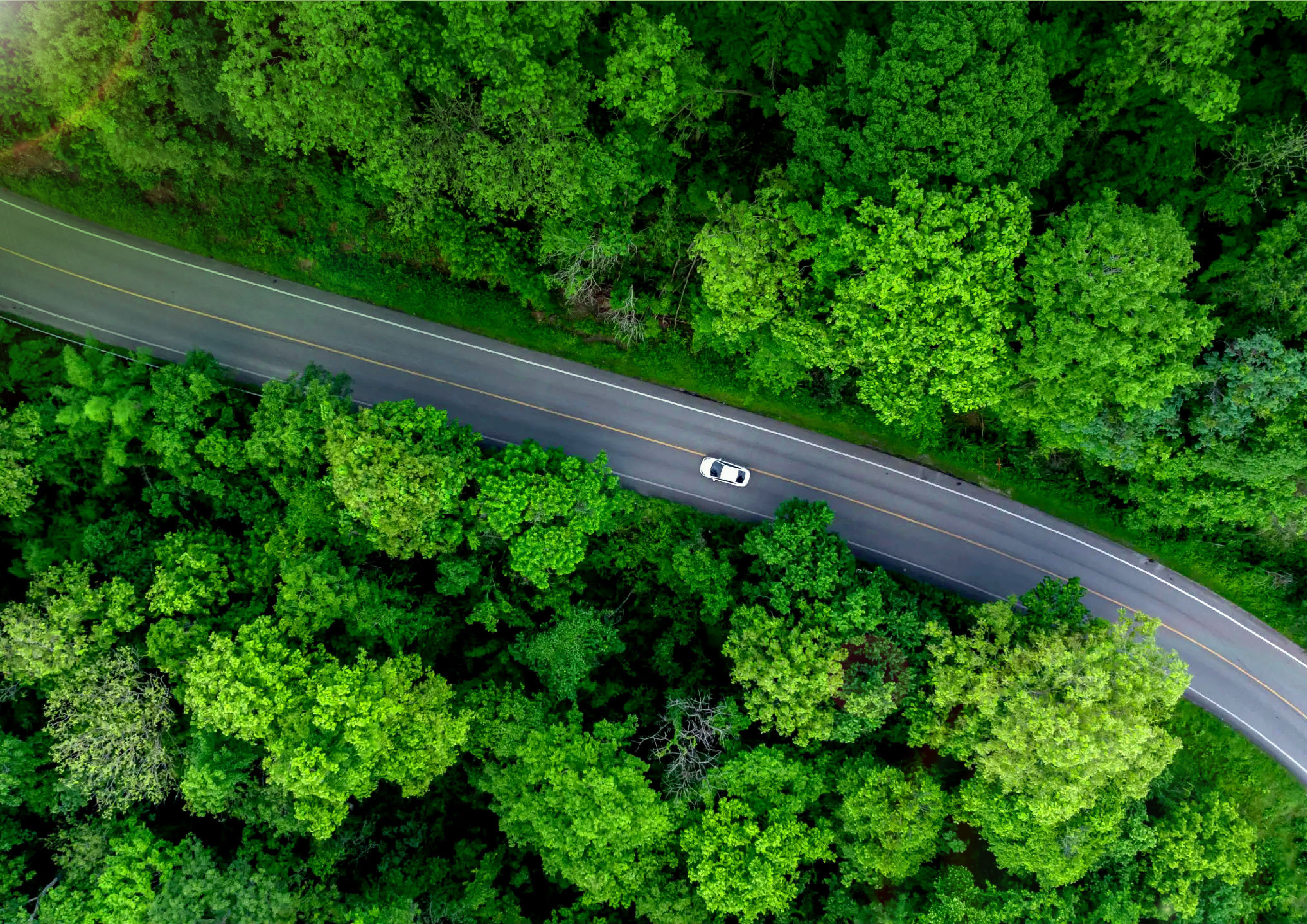 必维集团收购意大利前沿的消费品可持续发展专家
