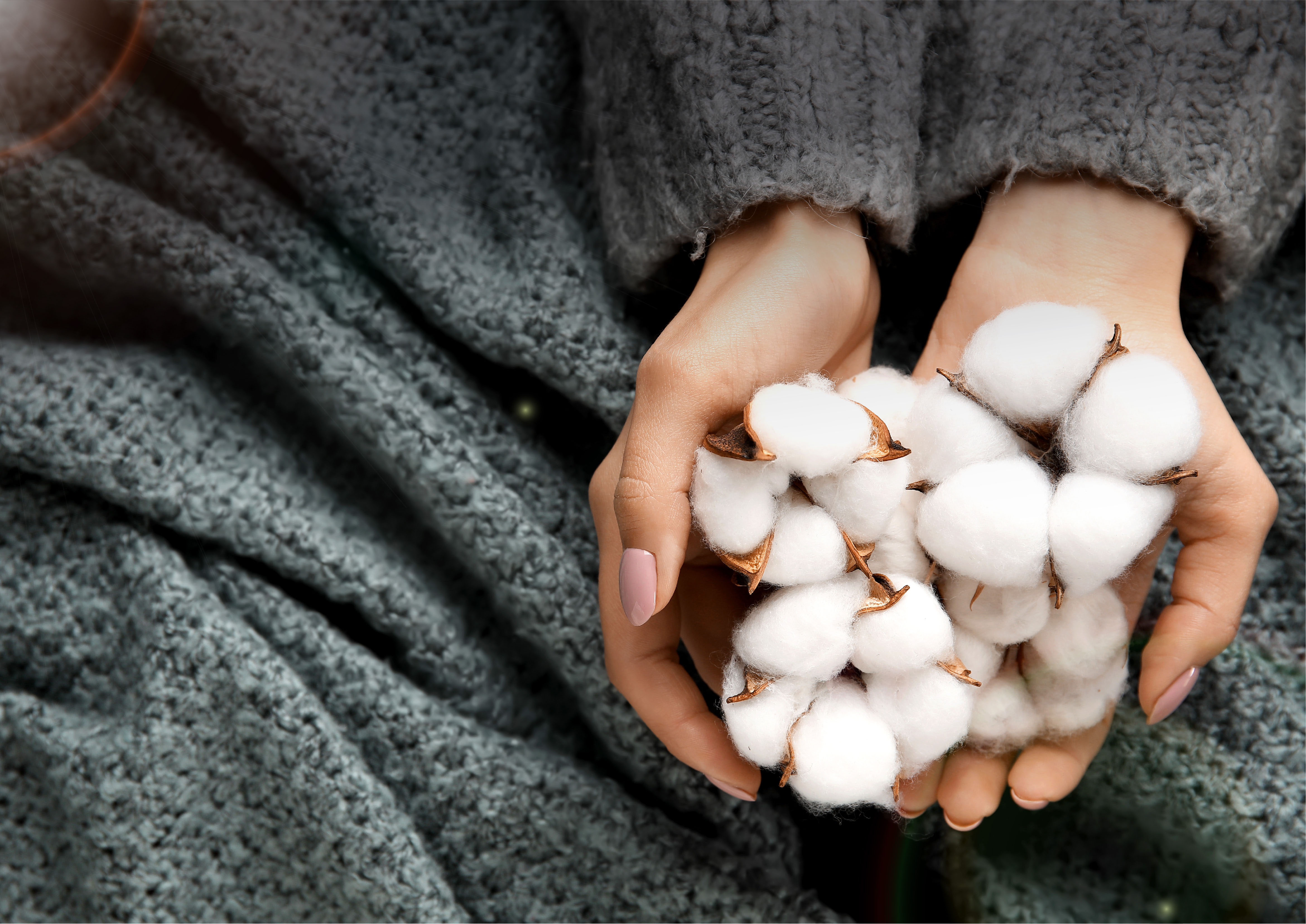 不只是认证，更是承诺｜必维集团携手特步，让羽绒温暖不负生命之重