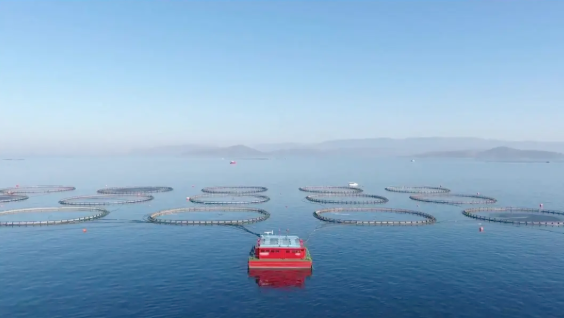 必维一站式数字化解决方案【白皮书】发布：重塑供应链管理，开启高效协同新纪元