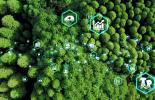 Sustainability