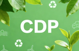 必维以专业的第三方能力，助力企业决胜 CDP 披露与气候领导力