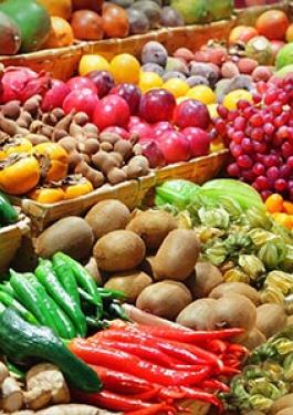 水果和蔬菜 Bureau Veritas