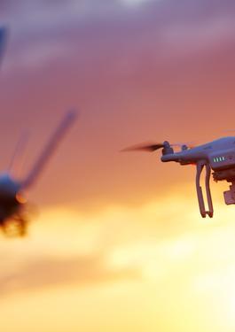 EUDR第三方调查和评审