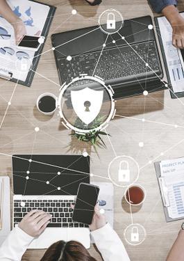 EUDR尽职调查程序和报告