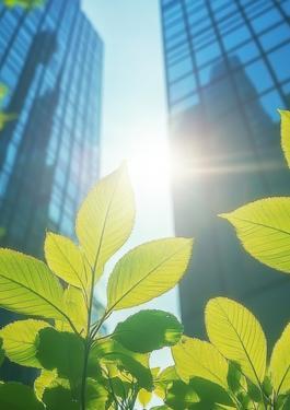 我们的EUDR合规解决方案和服务