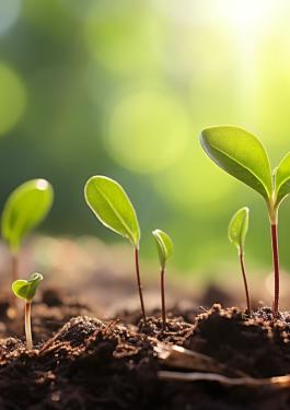 续写绿色篇章 | 连续两年获认证！必维助力哈尔斯成功卫冕 ISCC PLUS，共践可持续长期主义