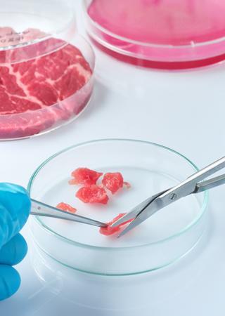 食品安全