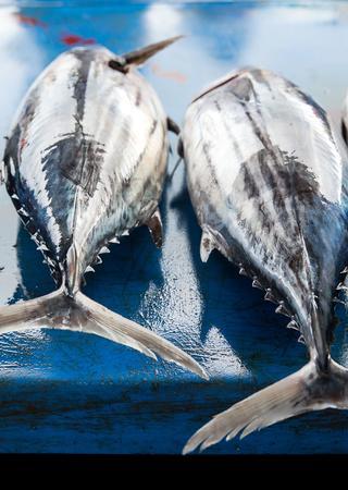 海產