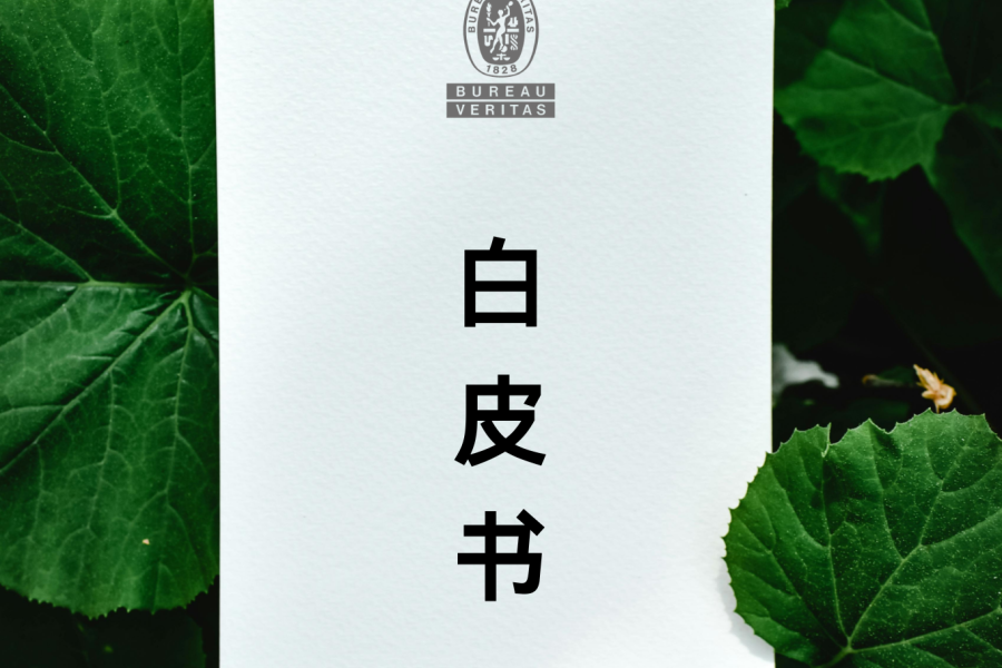 白皮书