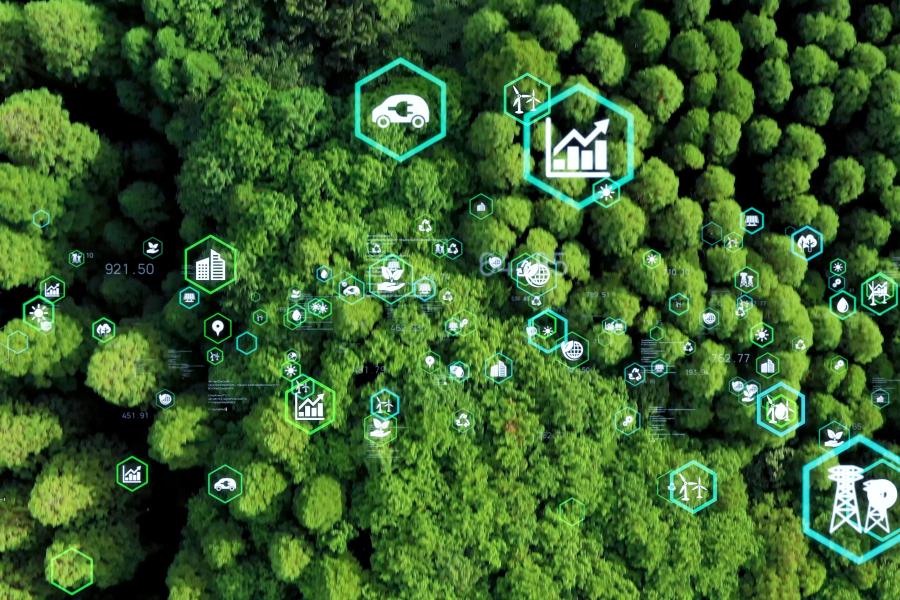 绿色可持续(Green Line)